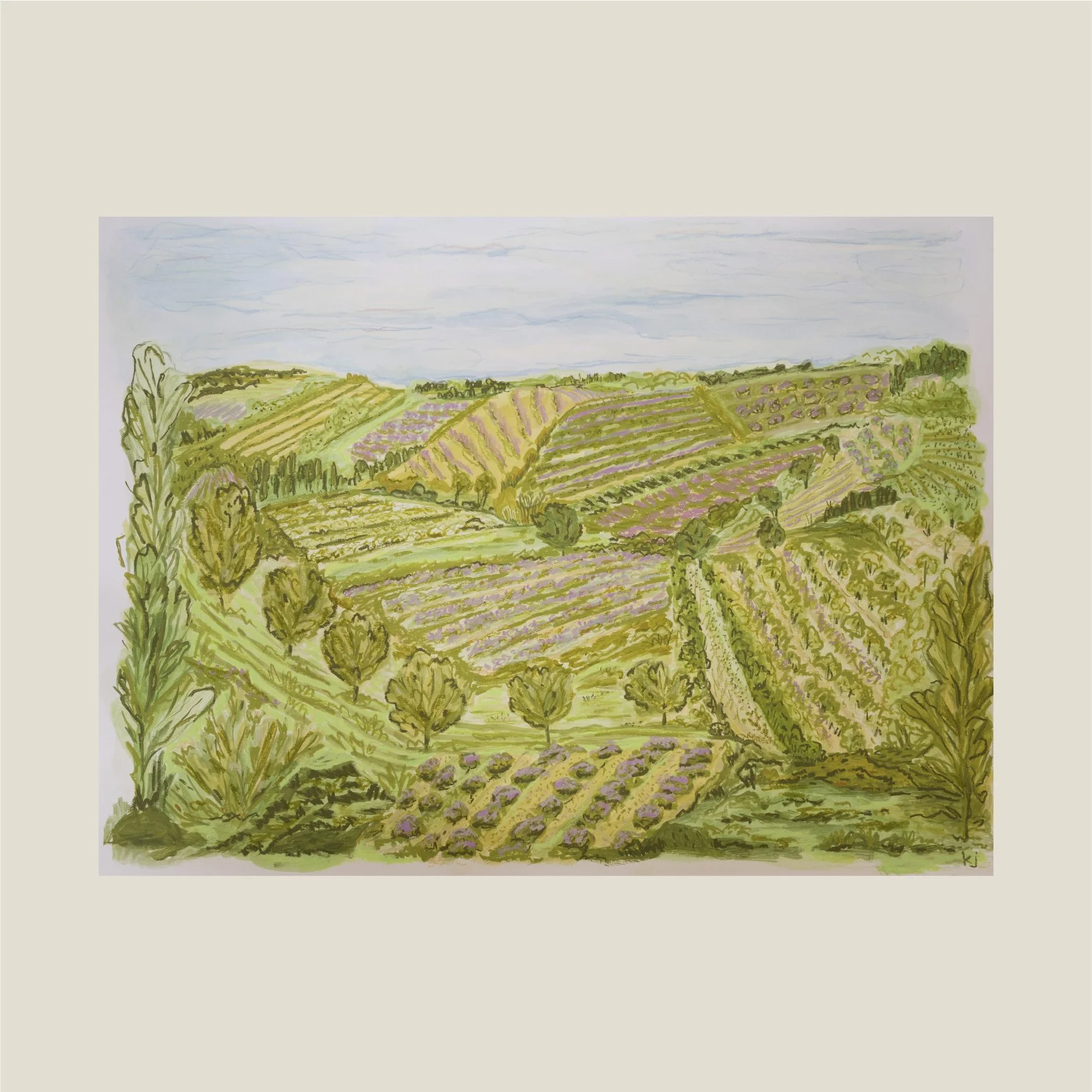 Lavender Fields in Provence Original