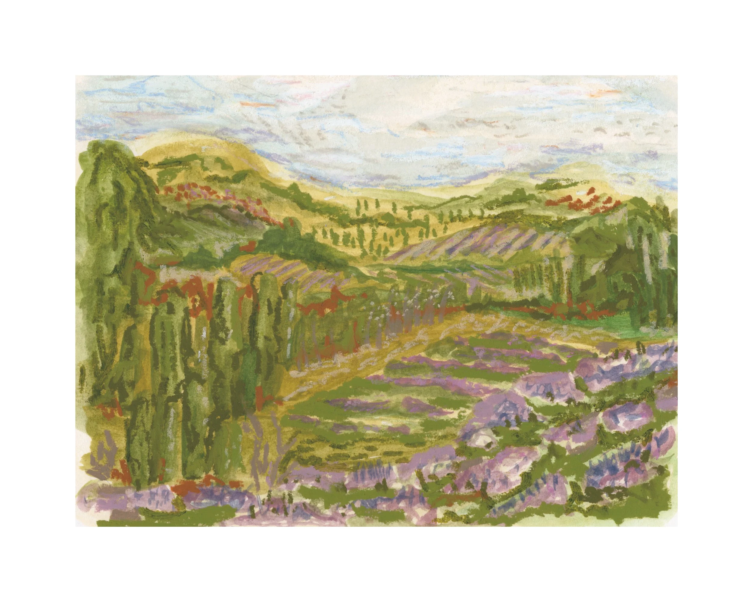 Lavender Fields 3.jpg