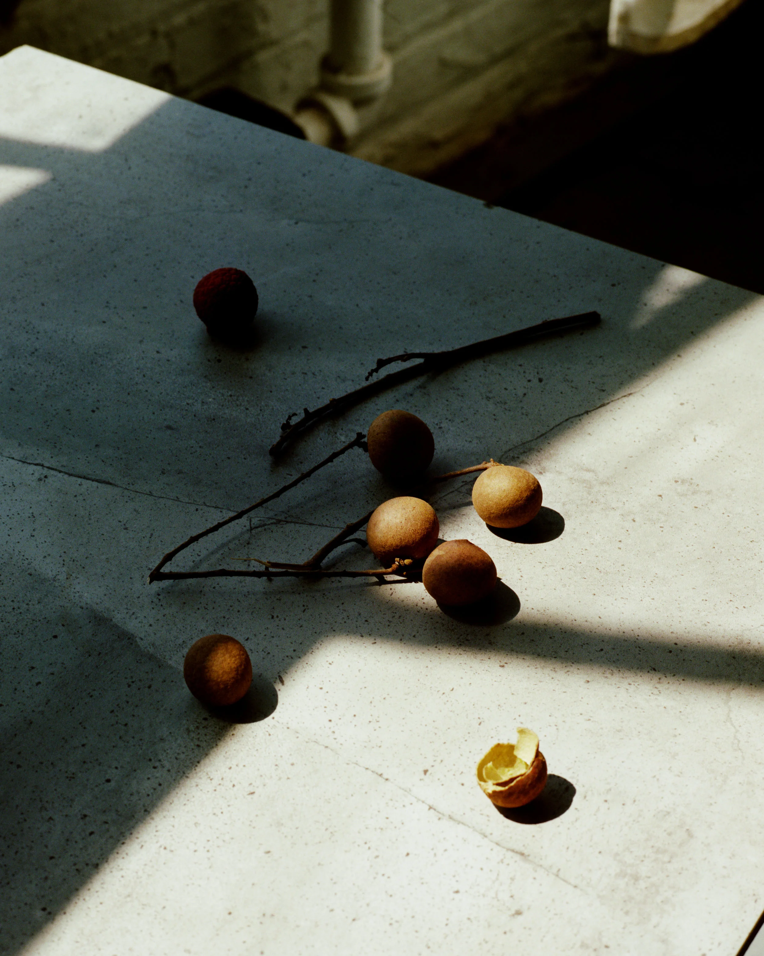 1708_TropicalFruits_02_01_Final.jpg
