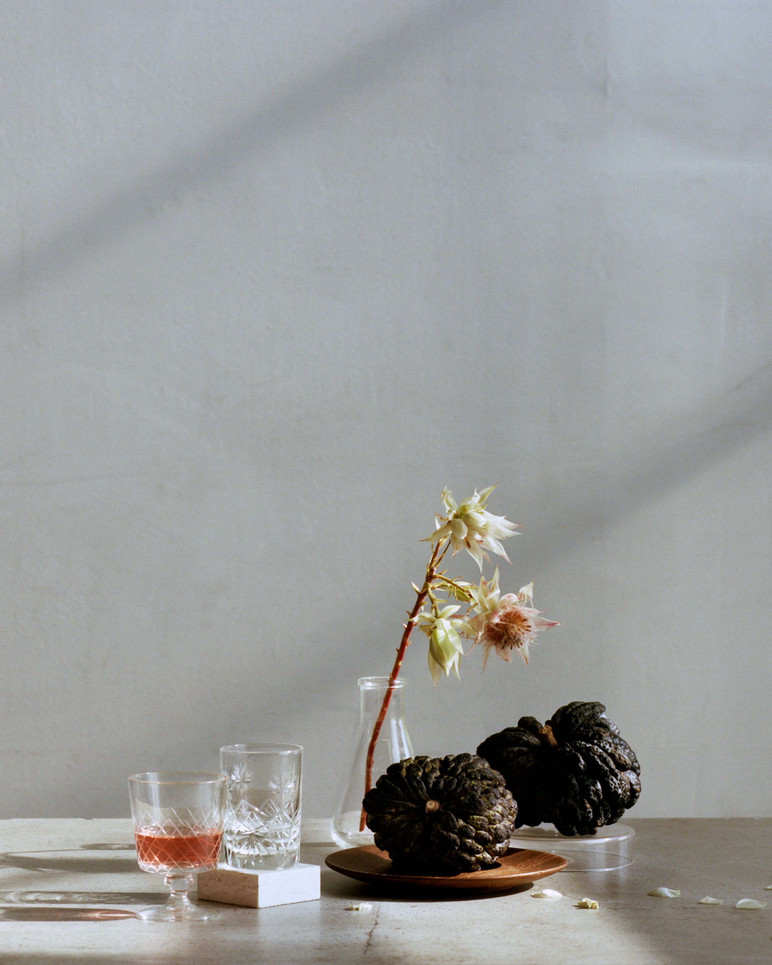 1708_TropicalFruits_05_03_Final.jpg
