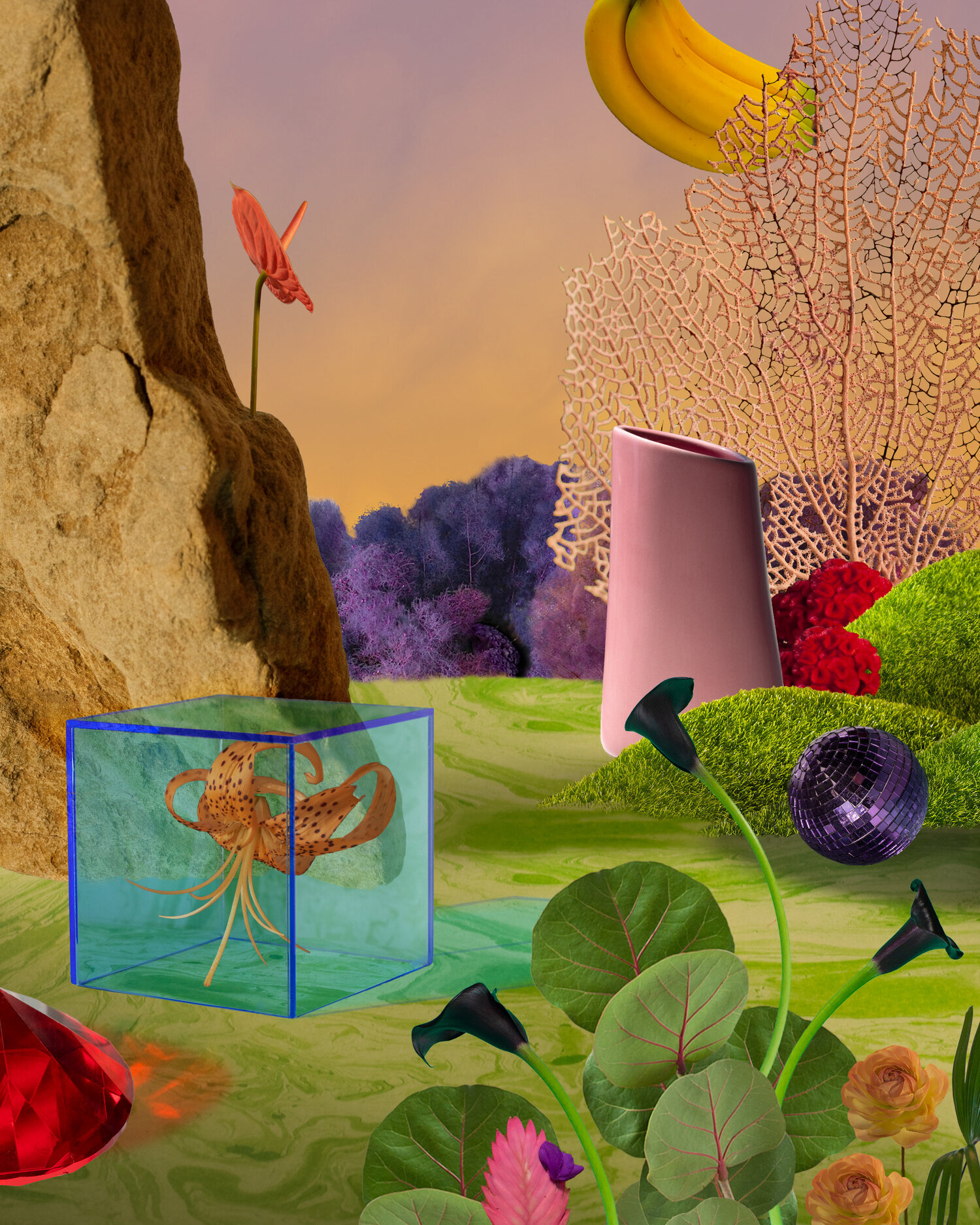 Mundo Jardín 2 .jpg
