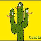 quactus.jpg