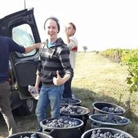 tony b harvest.jpg