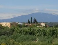 camarette.jpg
