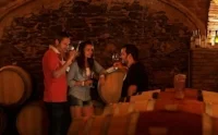 sao coster6.jpg