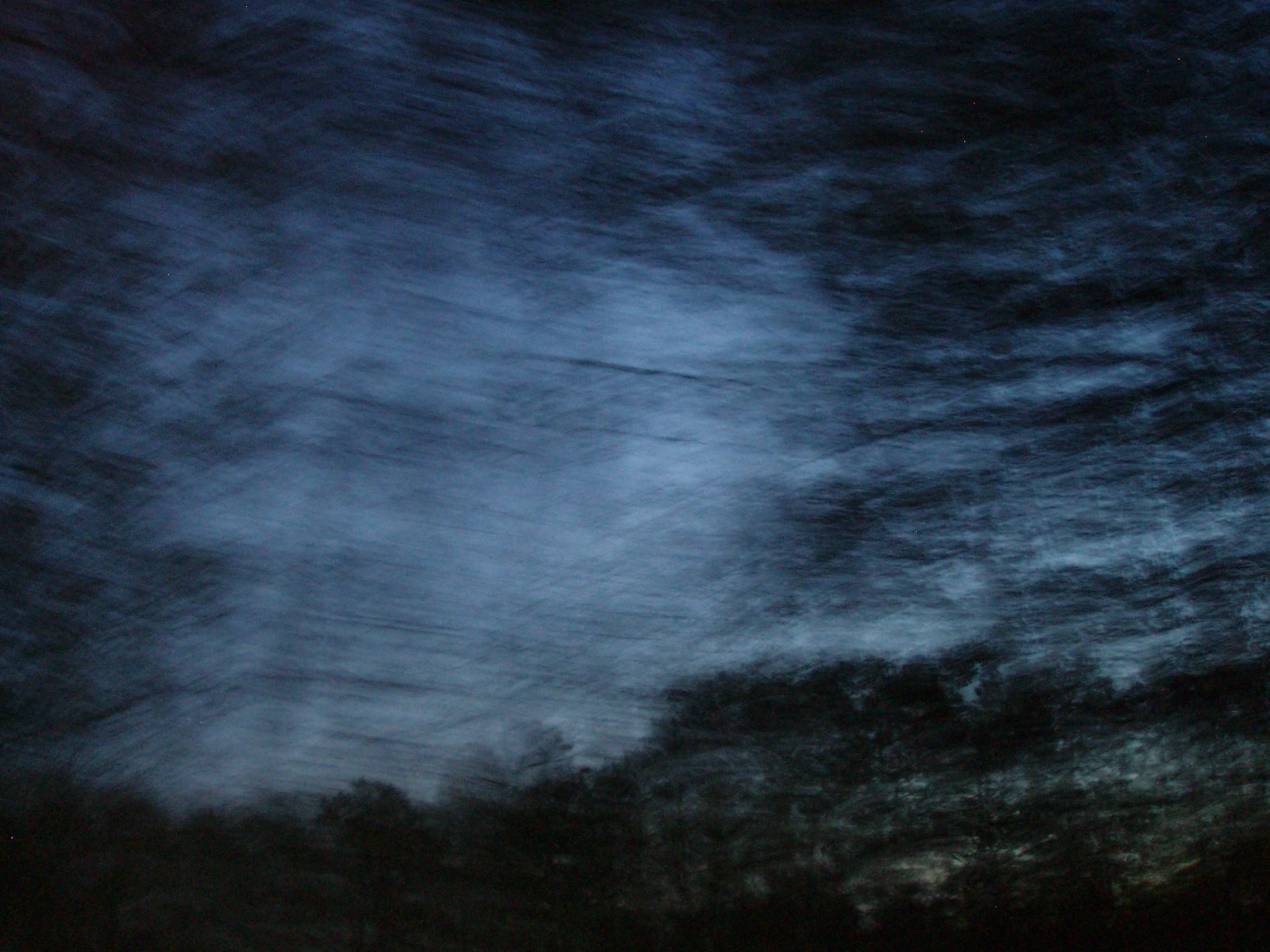 Forest in Moonlight.JPG