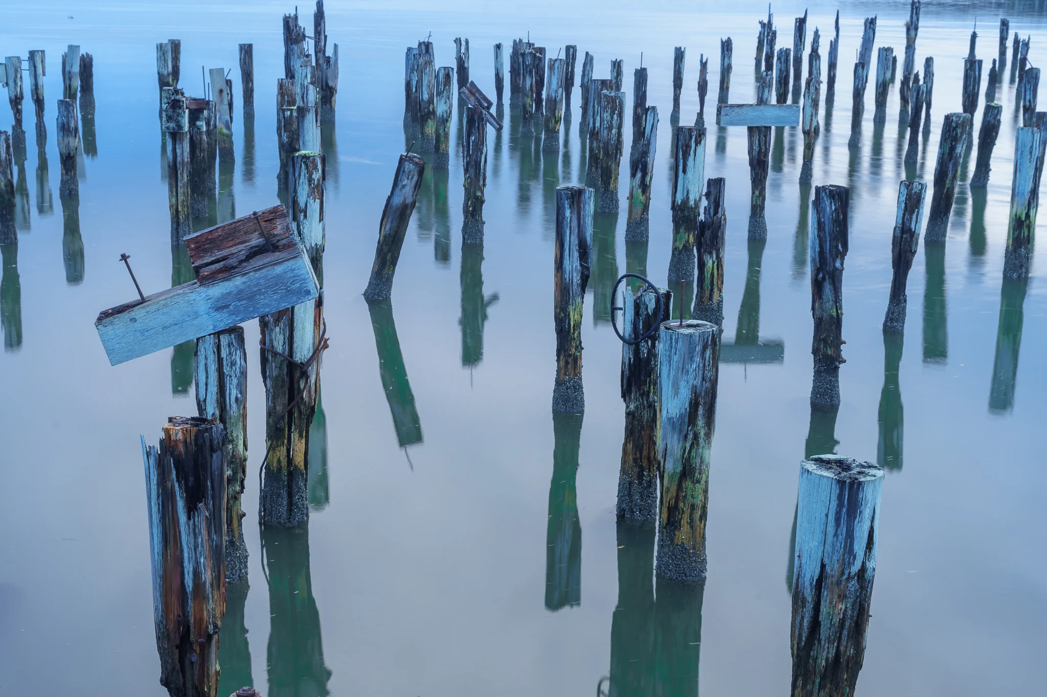 Coquille Pier 2
