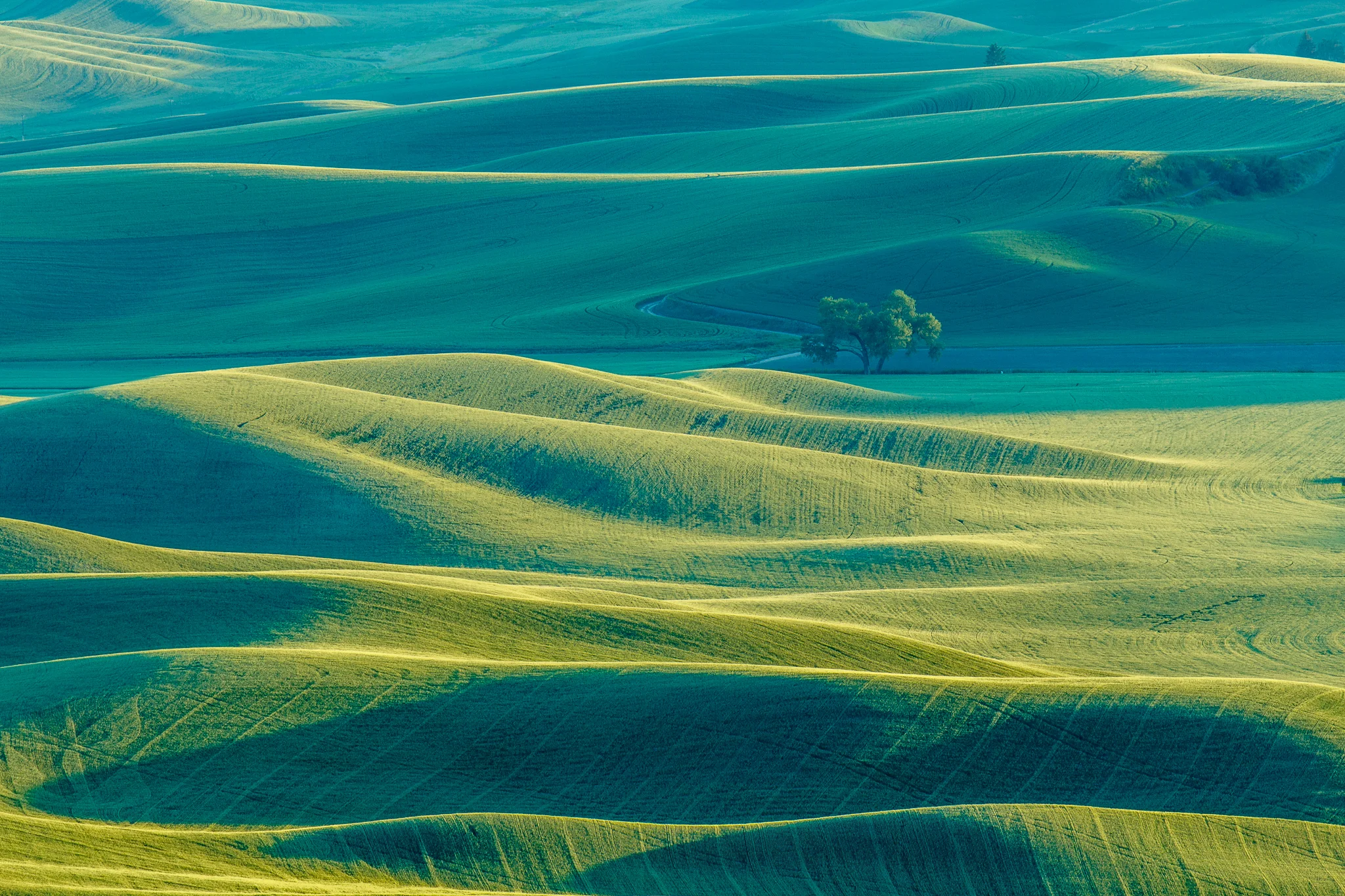 Hills of Palouse