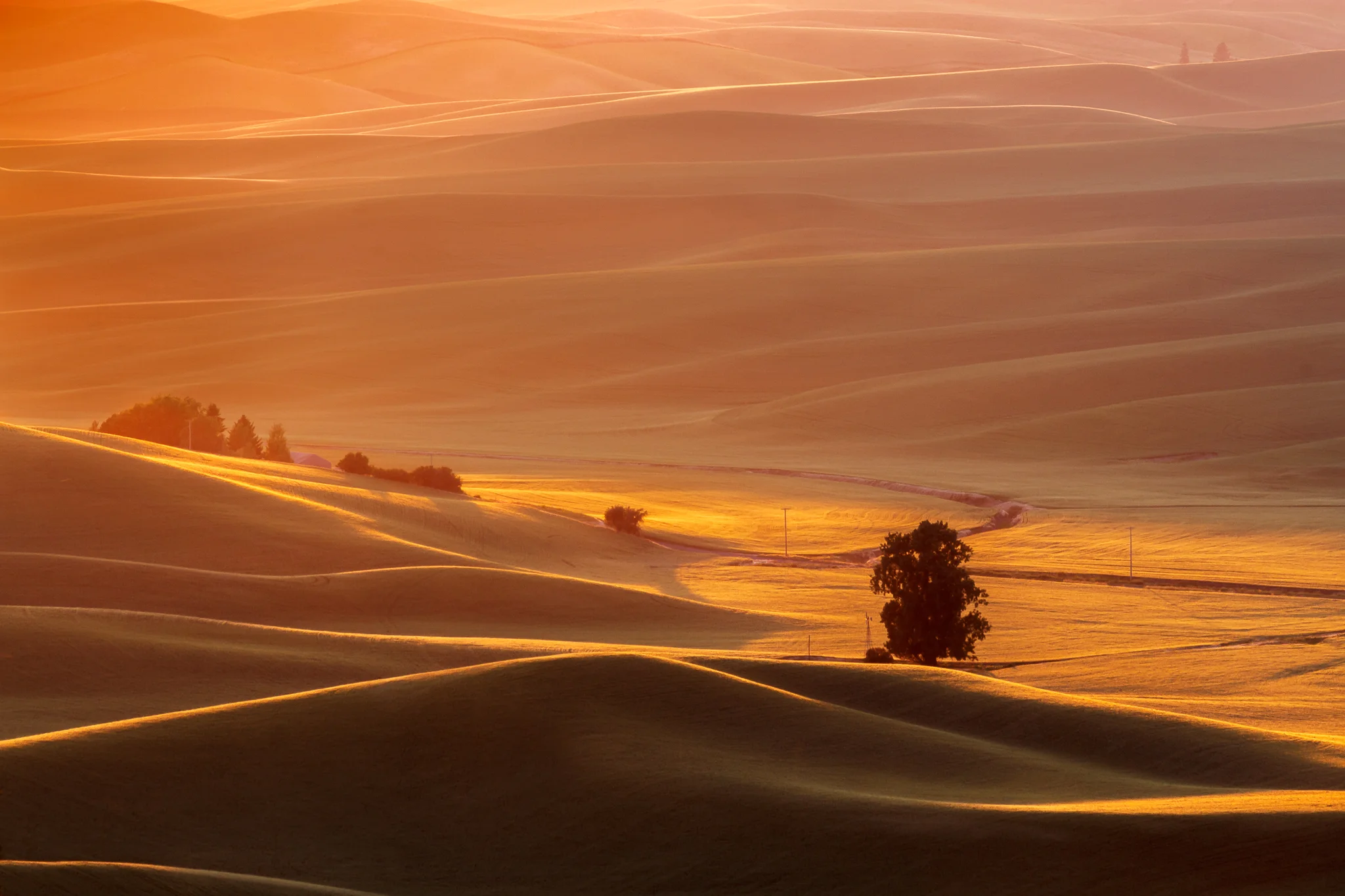 Shades of Orange - Palouse