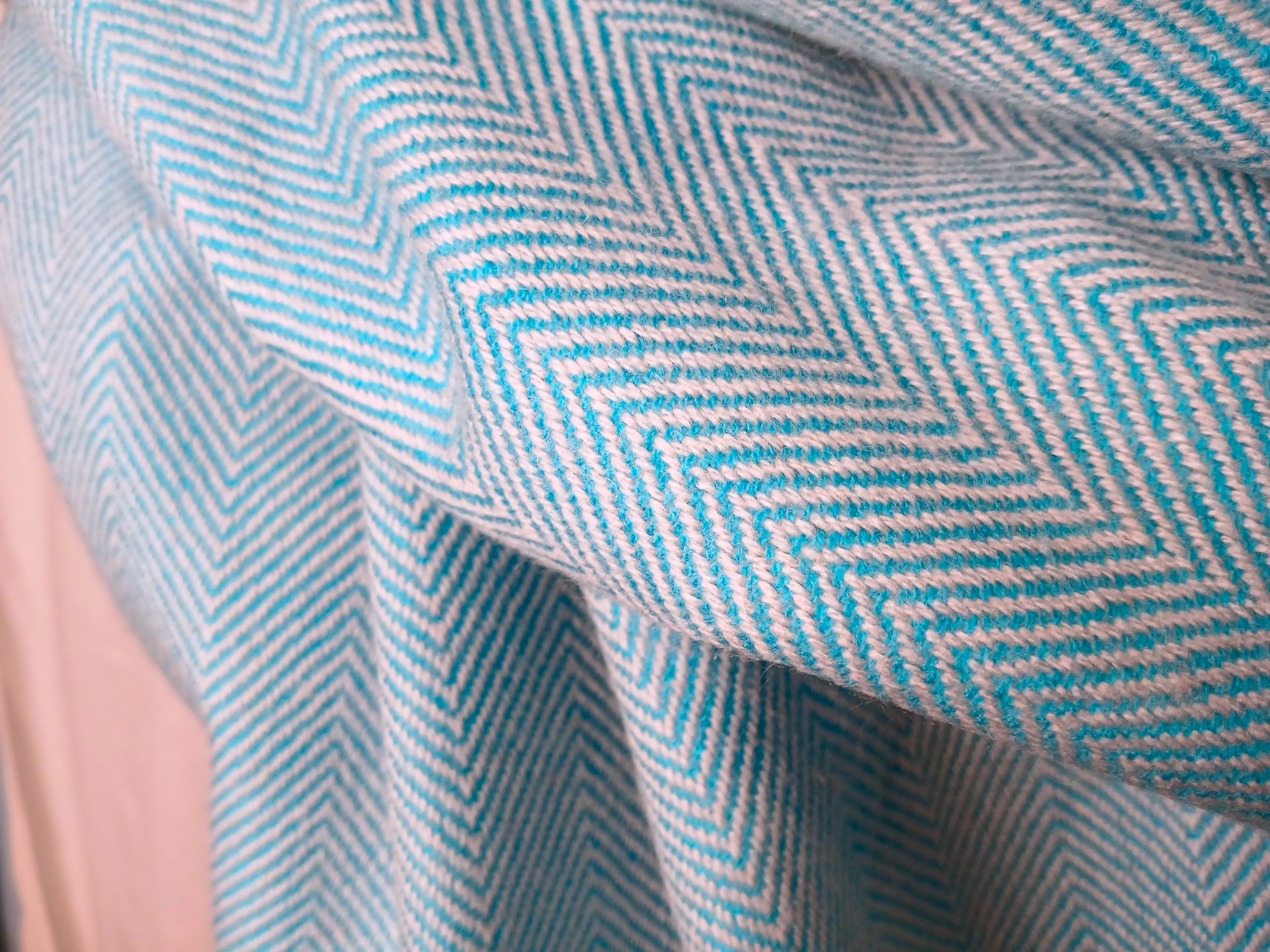 20251130_094235.jpg