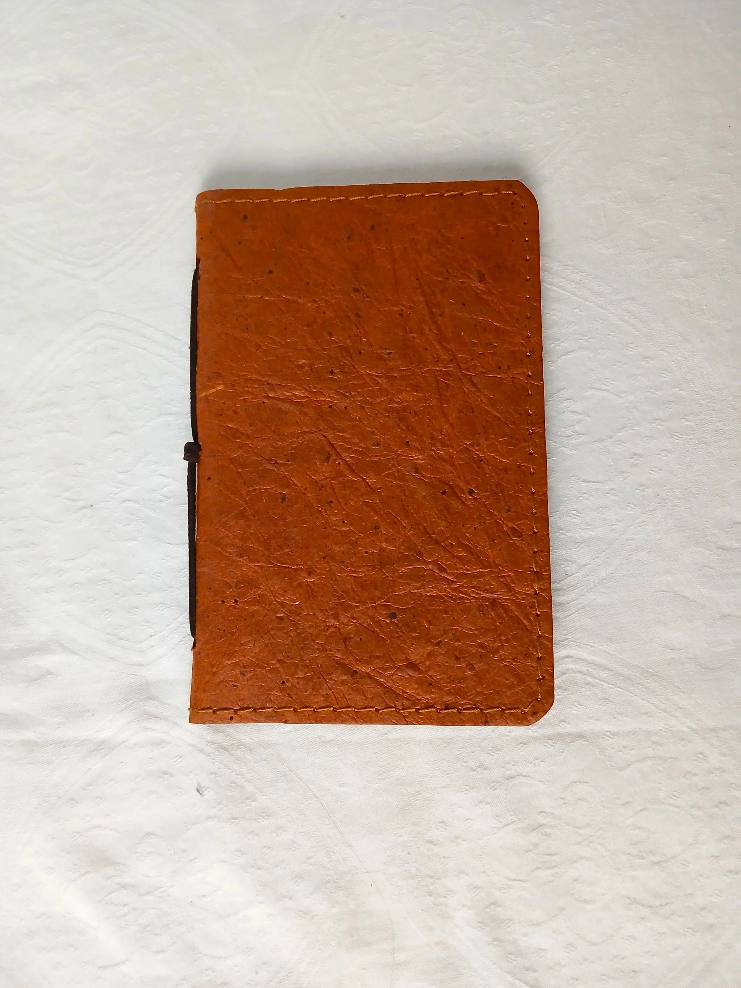 20260615_211156.jpg