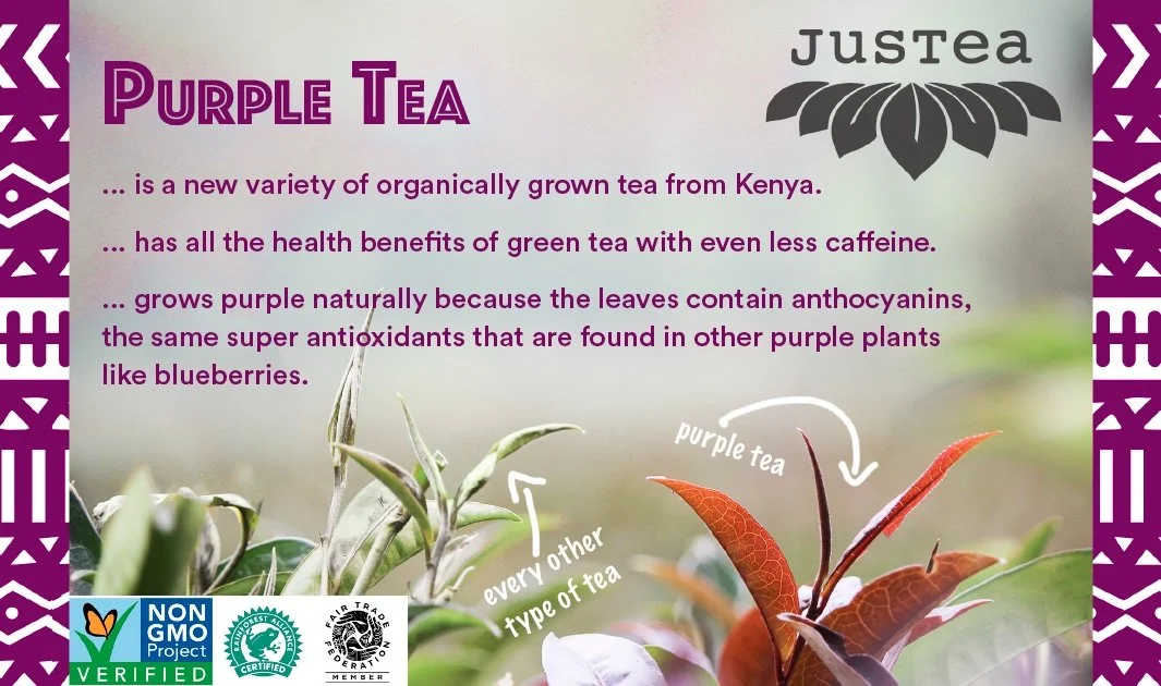 Purple Tea Infographic.jpg