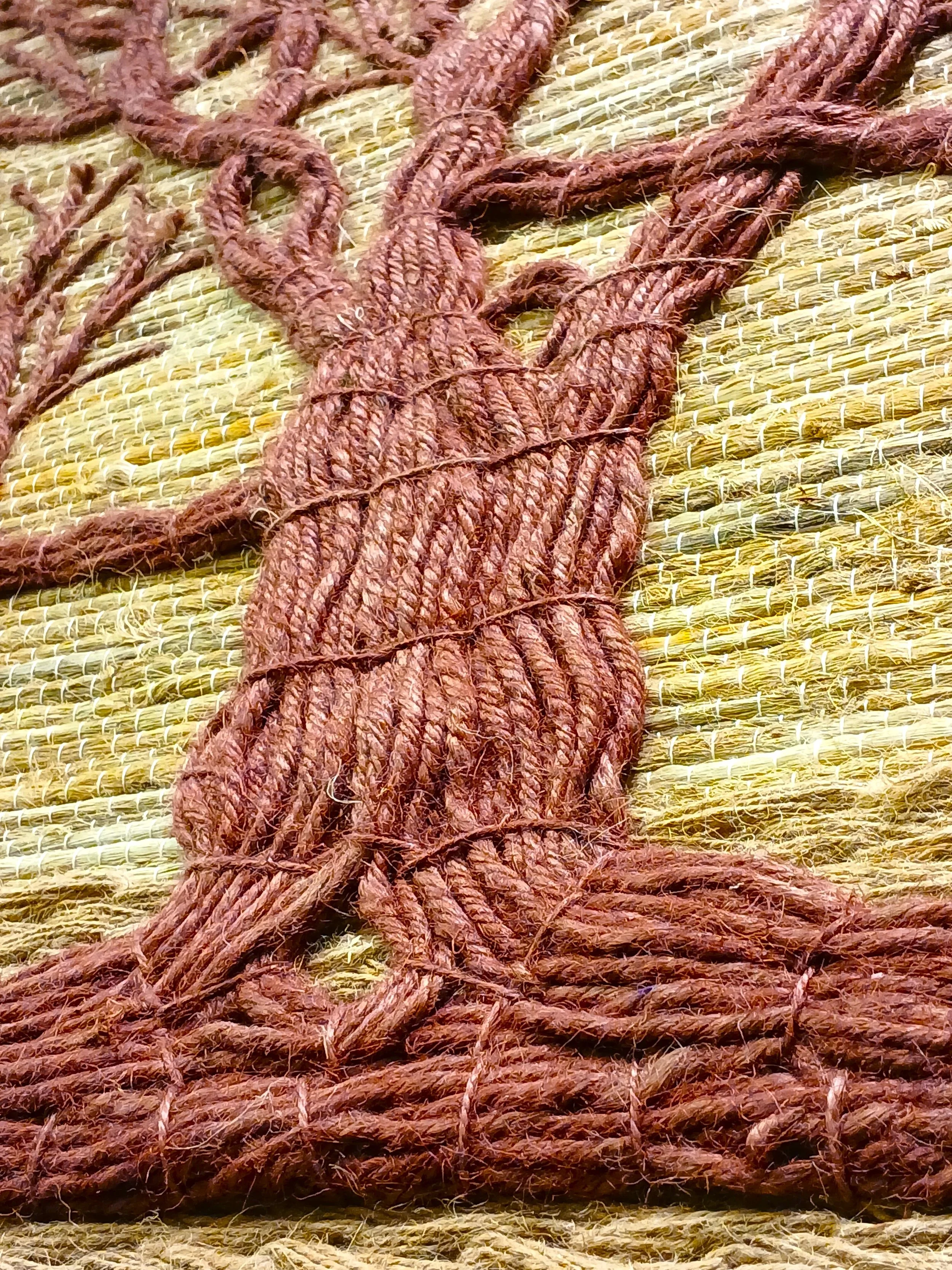 20261009_200045.jpg