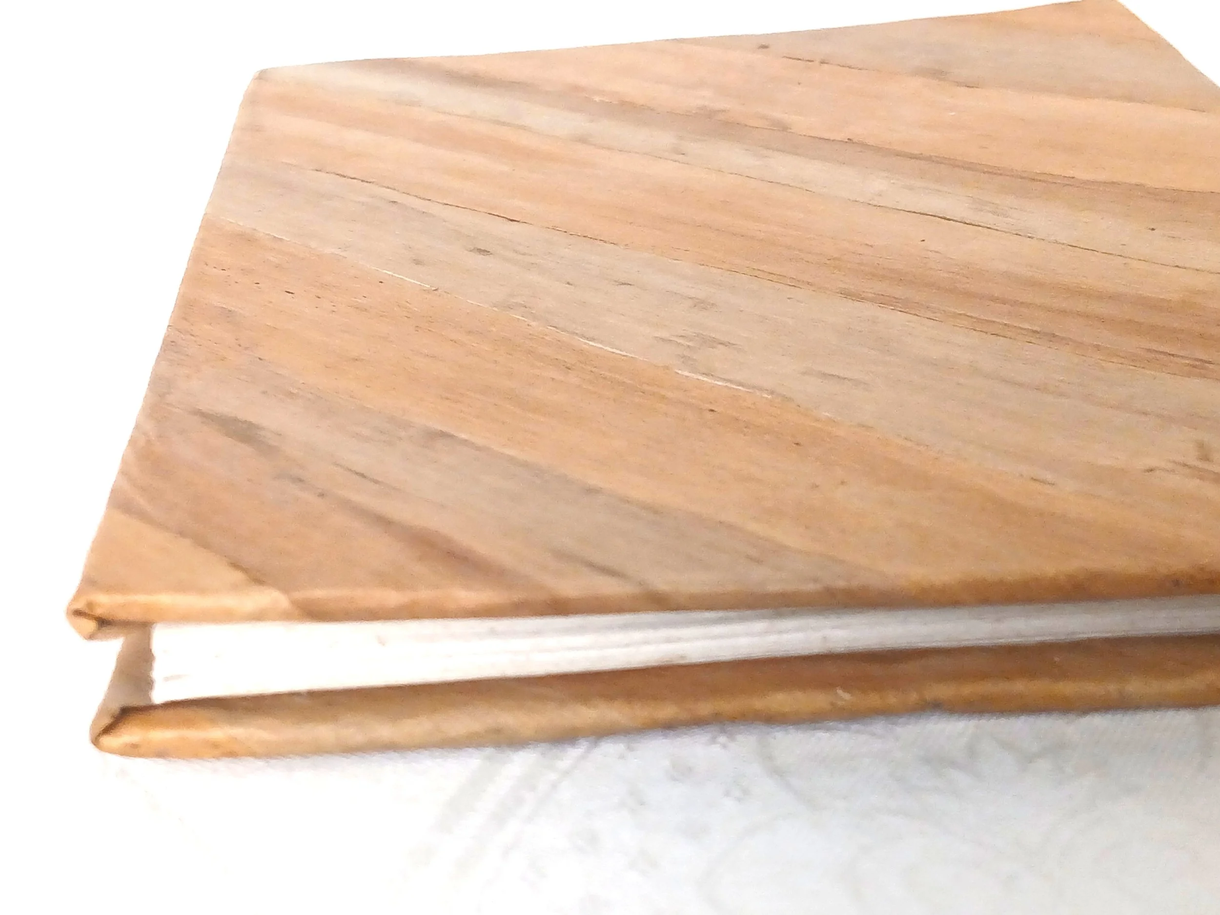 20260113_115151 (1).jpg