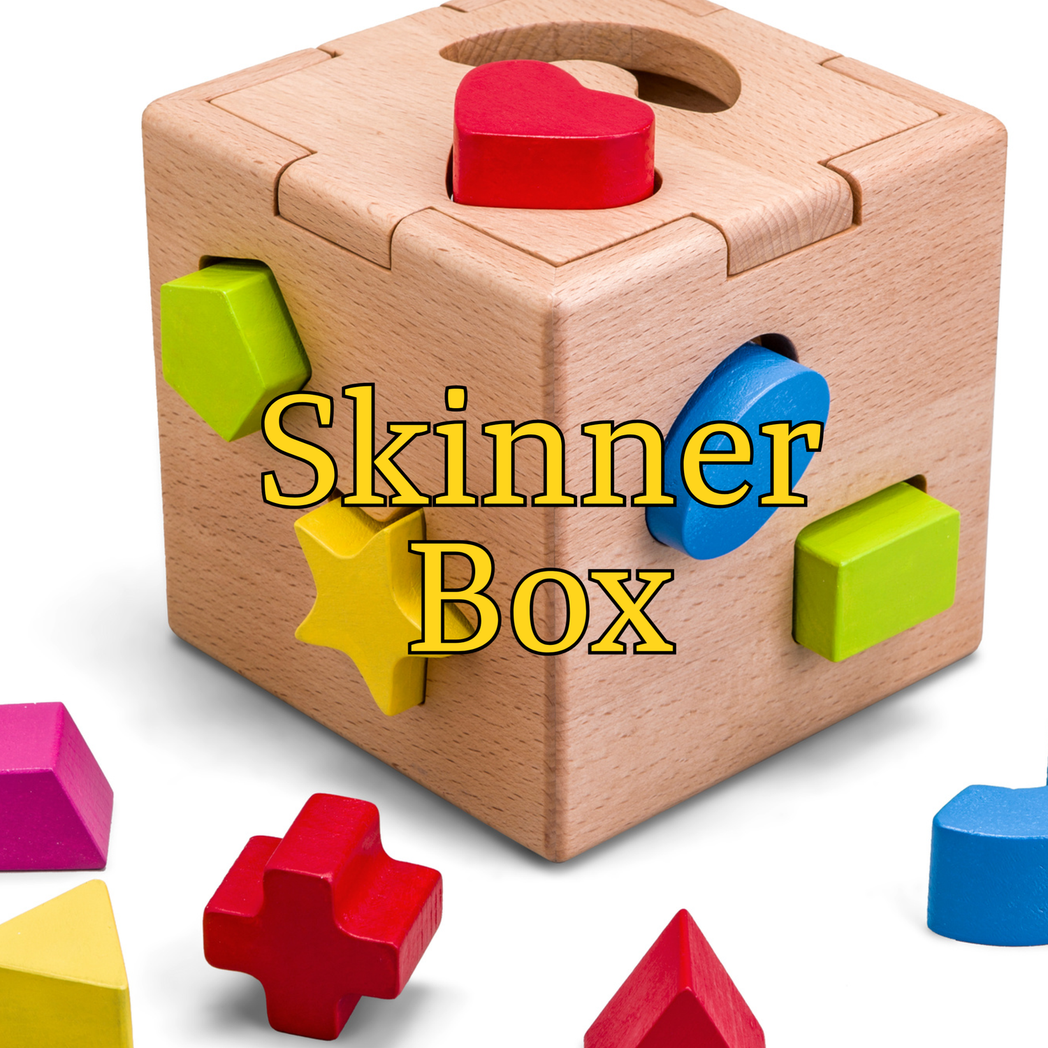 Skinner Box