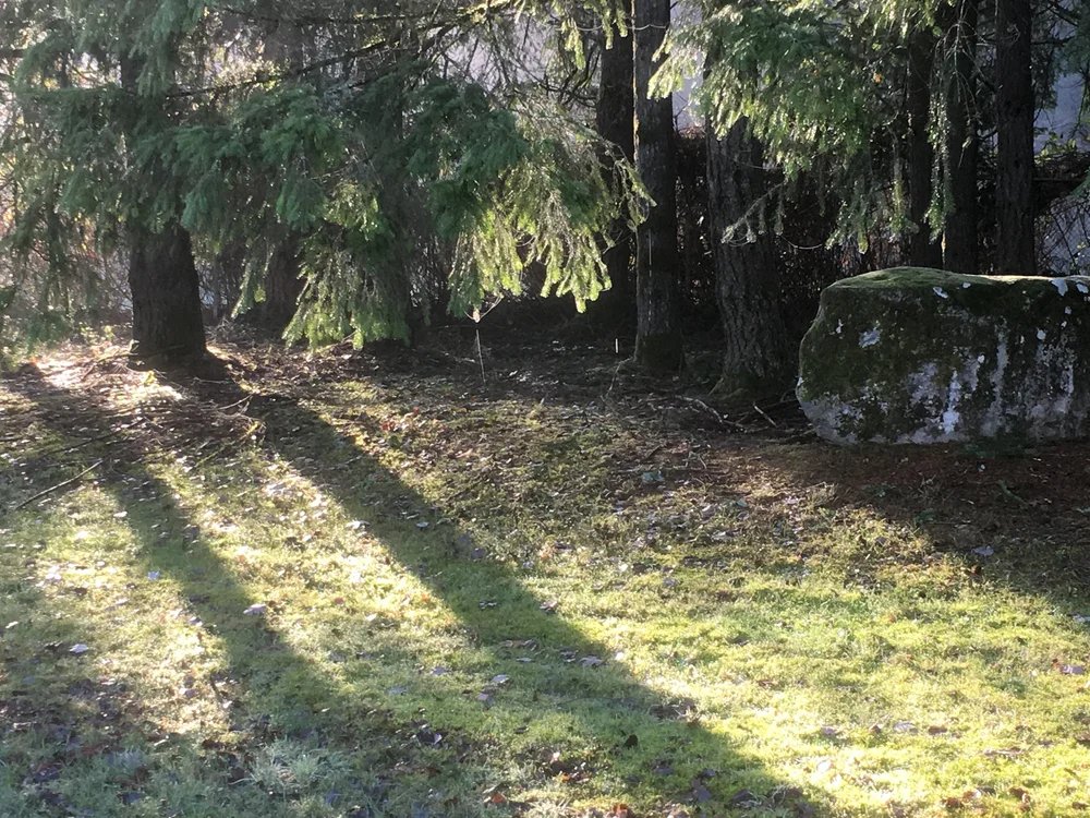 Eagle Harbor Counseling