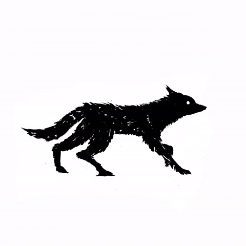 giphy-9.gif