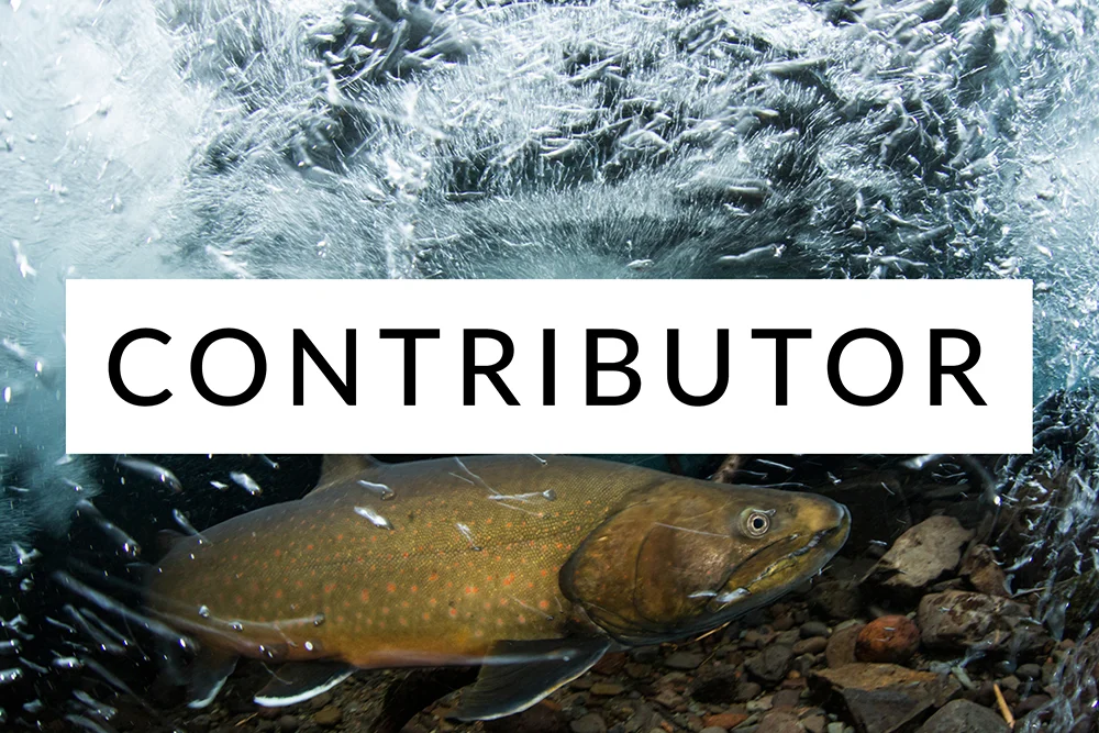 Contributor.jpg