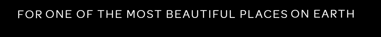yes2.png