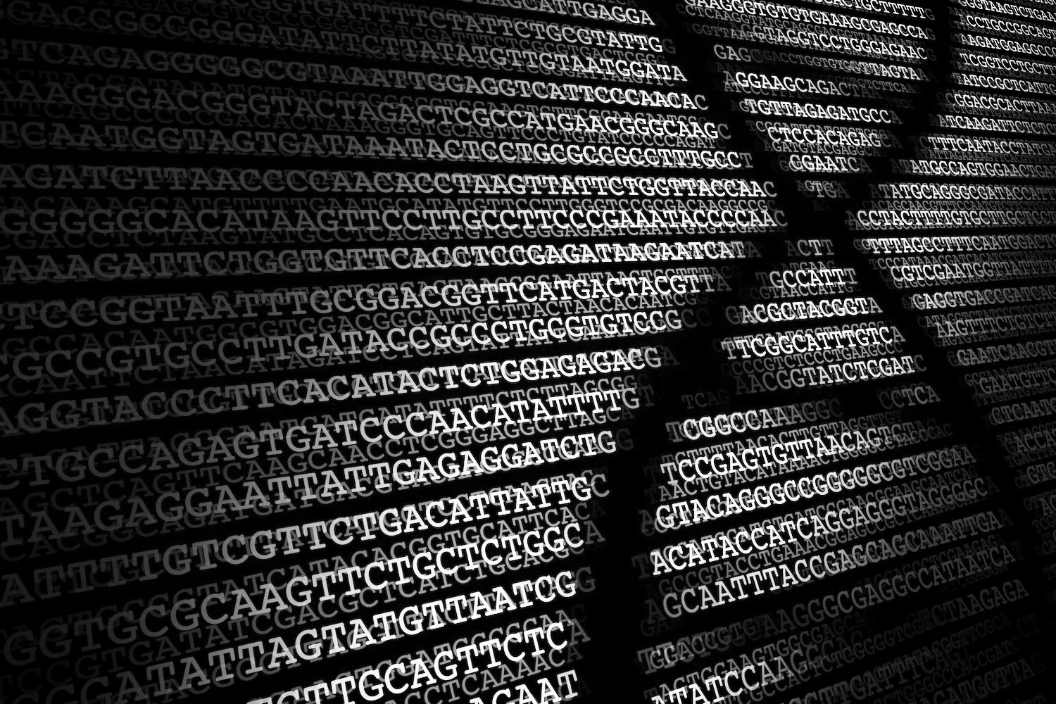 dna-codewebsite image.jpg