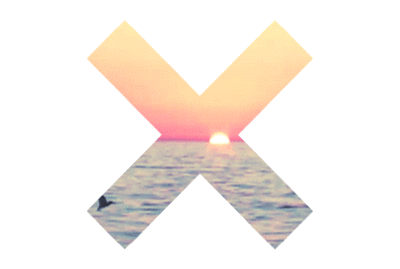 X17 giph.gif