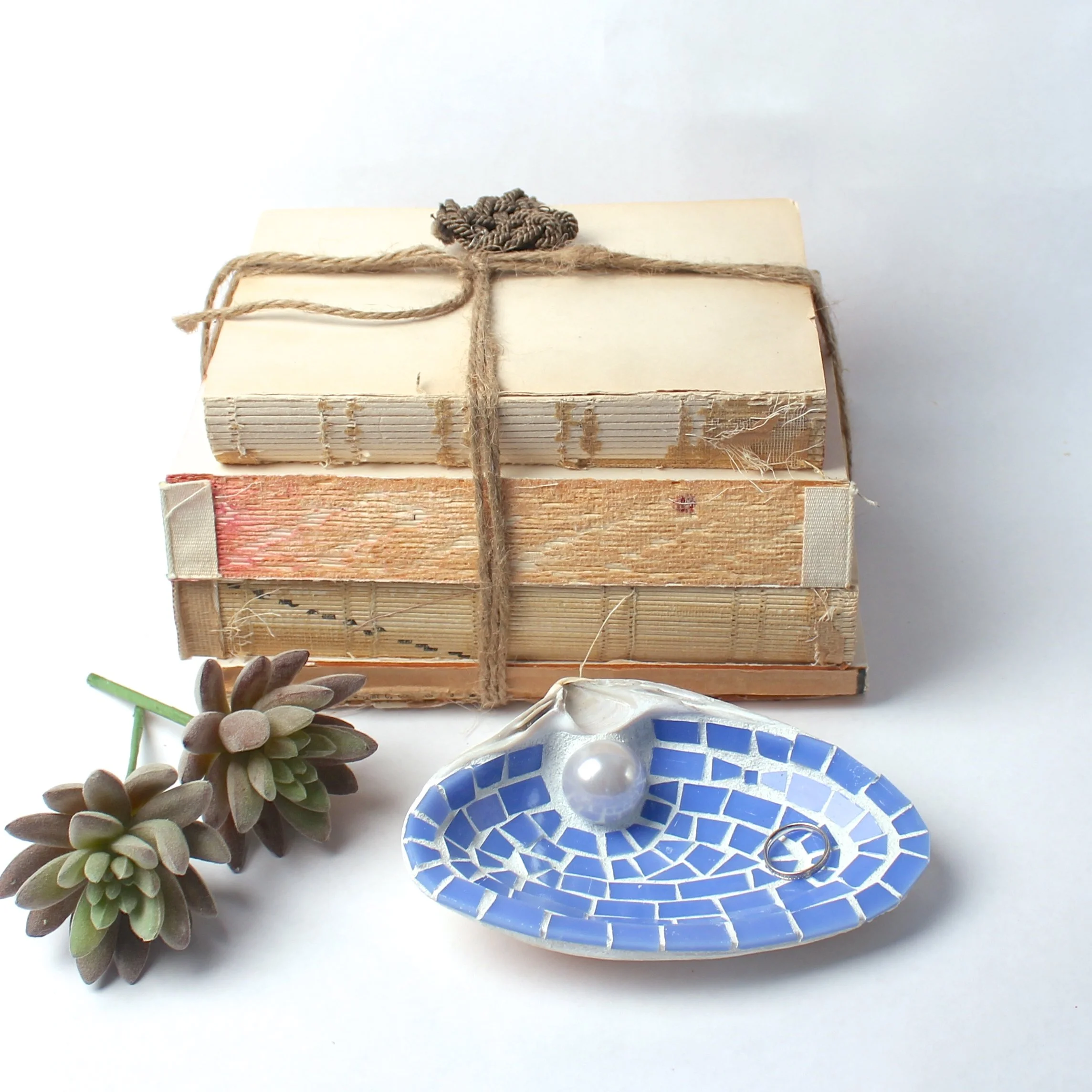 Blue shell with books.JPG