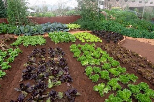 Scituate | All About the Soil | Hosted by Holly Hill Farm