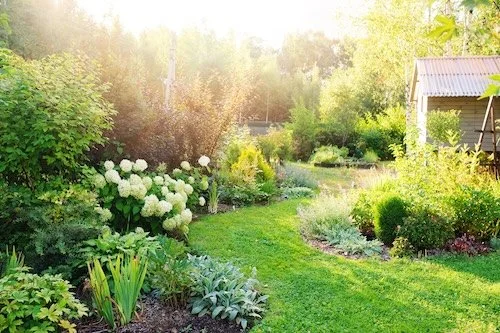 Scituate | Native & Non-Native Plants Co-Existing | Hosted by Holly Hill Farm