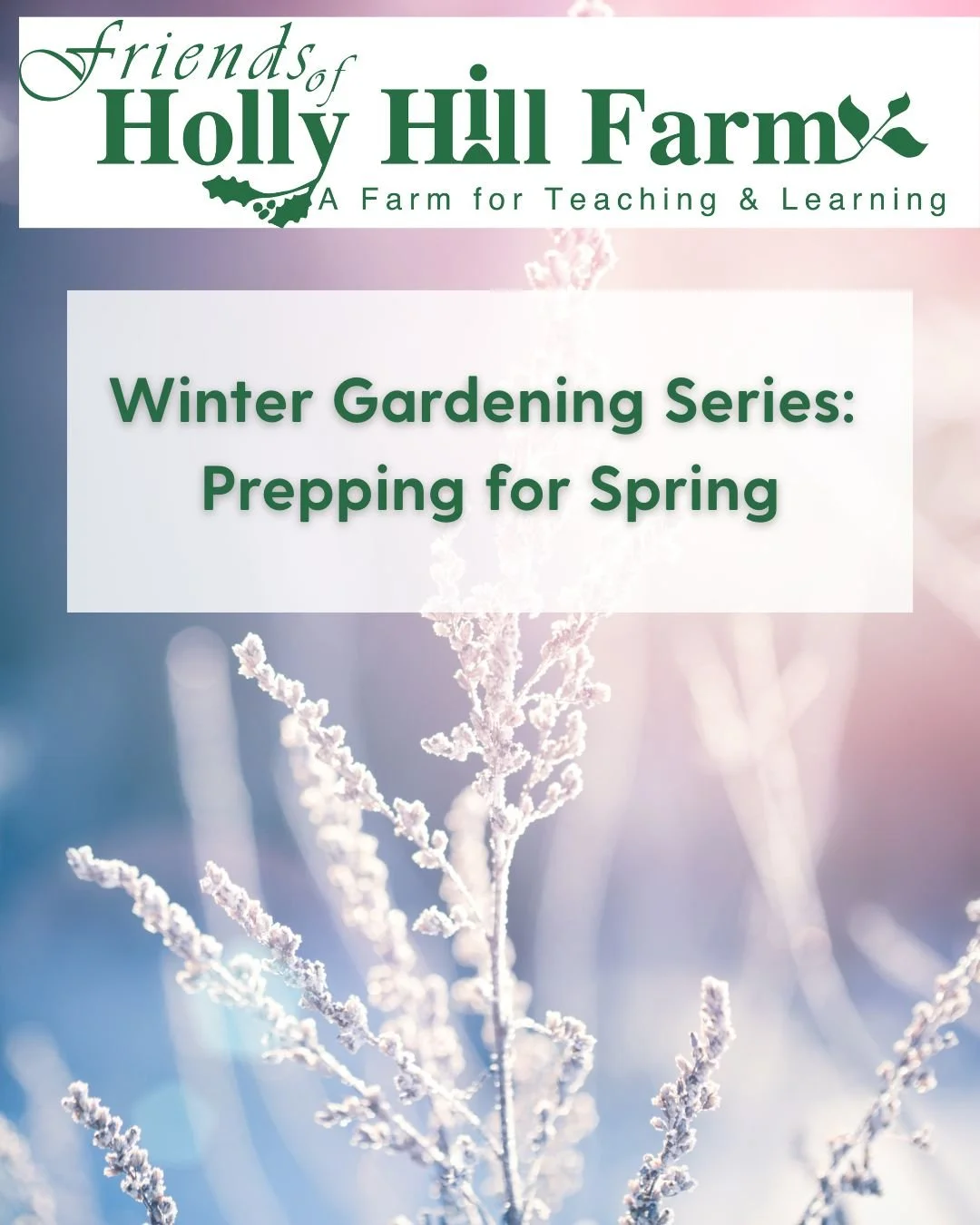 Winter Gardening Series.jpg