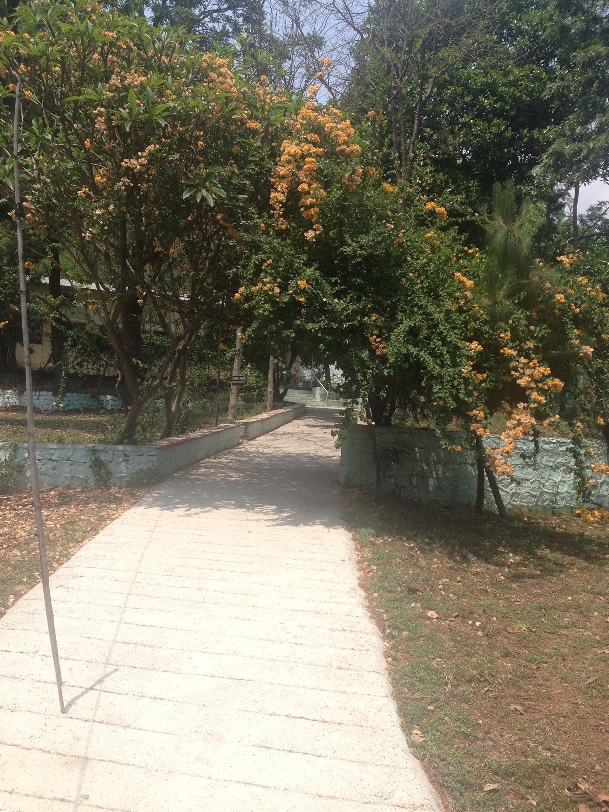 Path to the meditation hall.