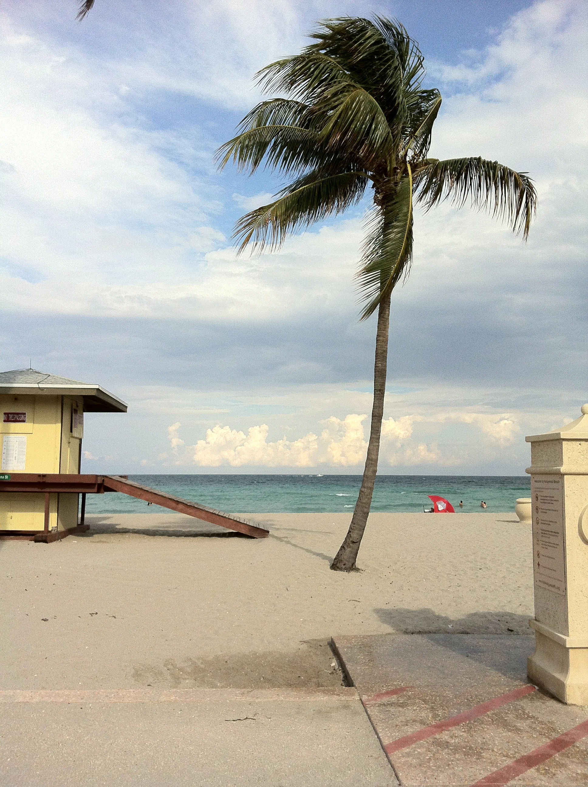 Eat Like A Local In Miami