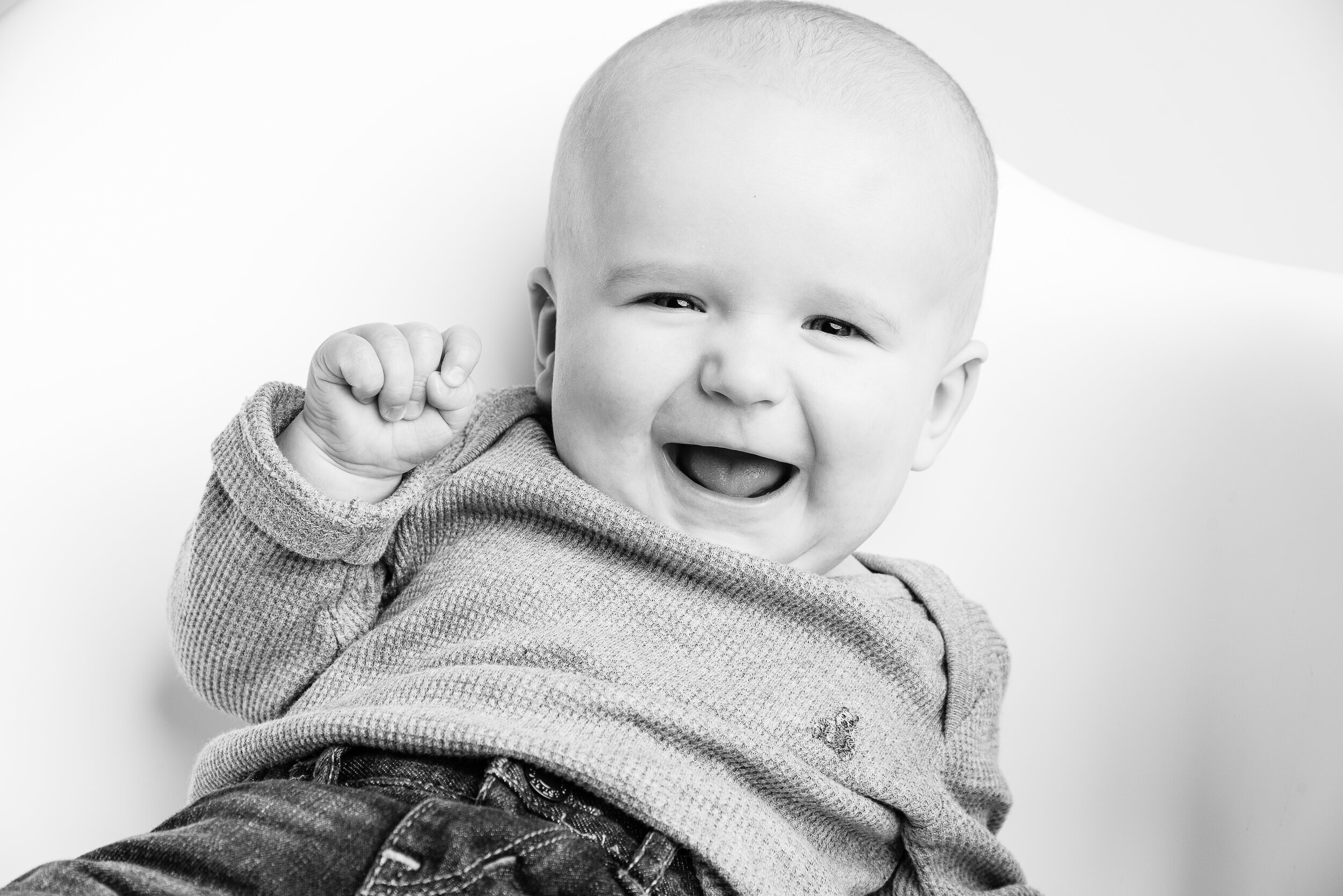 The Sweet Simple Baby Hudson Wren