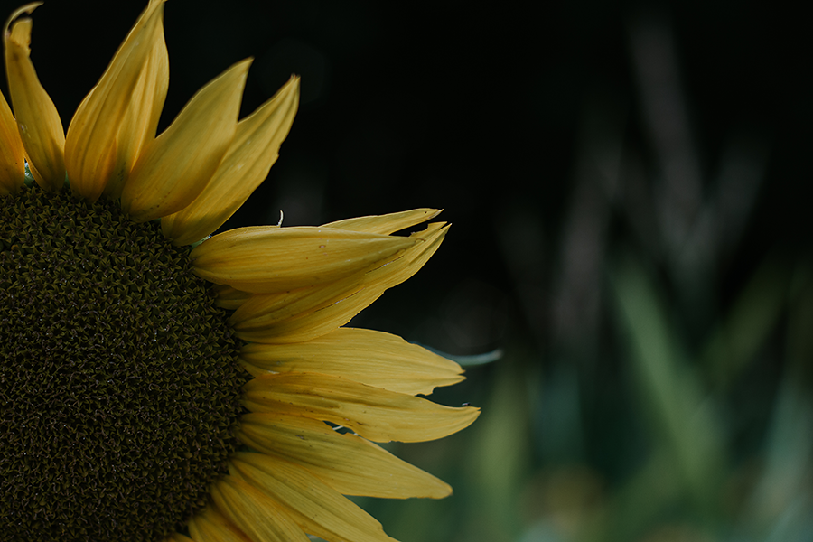 IMG_7832.png