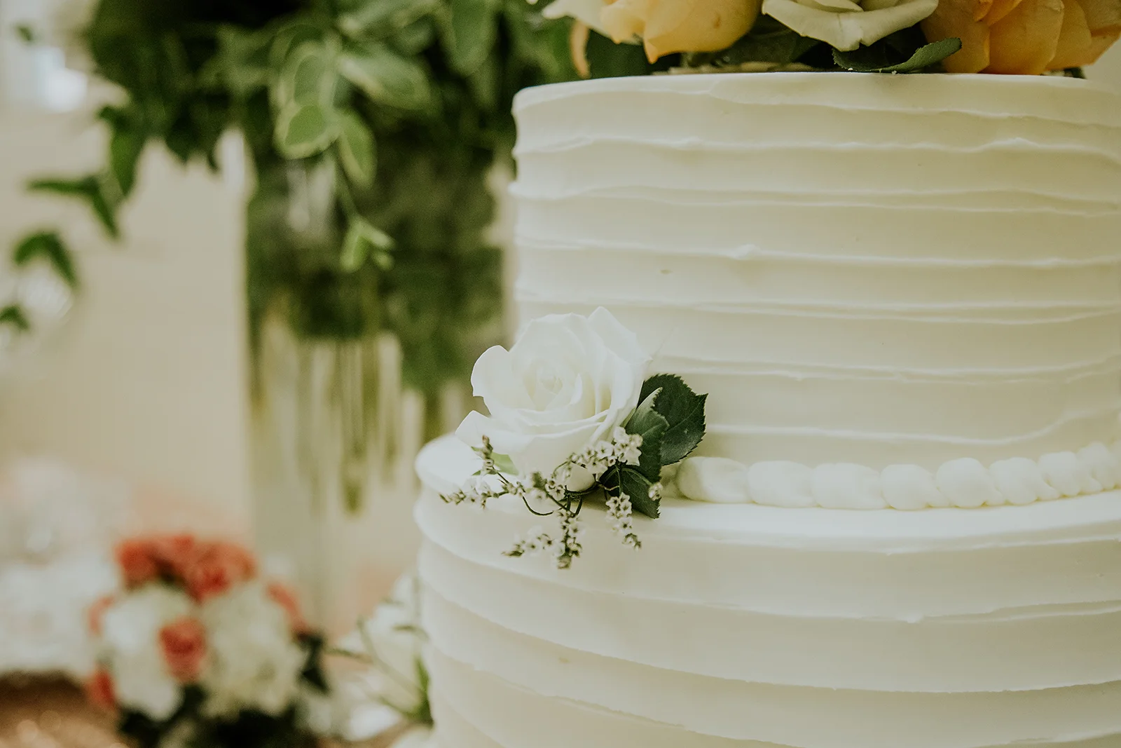 bestknoxvillephotographers22.jpg