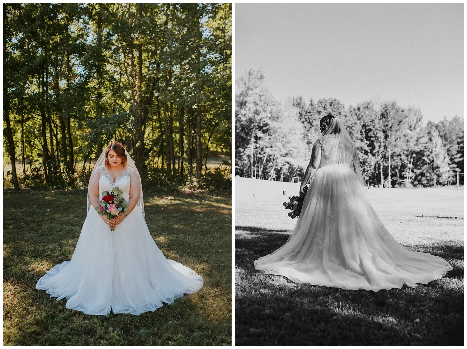 TN Photographer