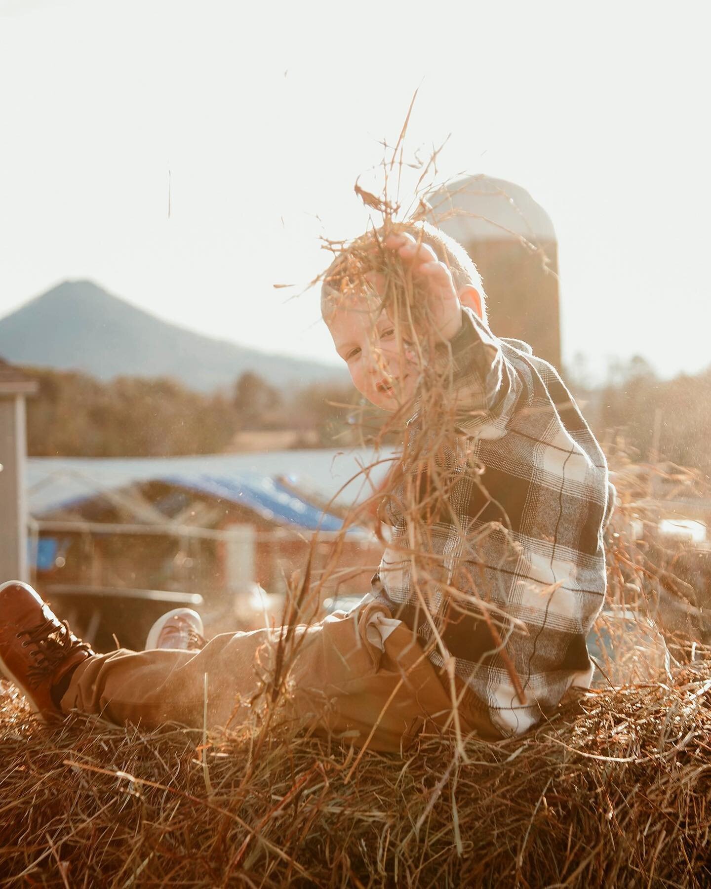 Oh to be 4 and playing on a hay bale 🖤