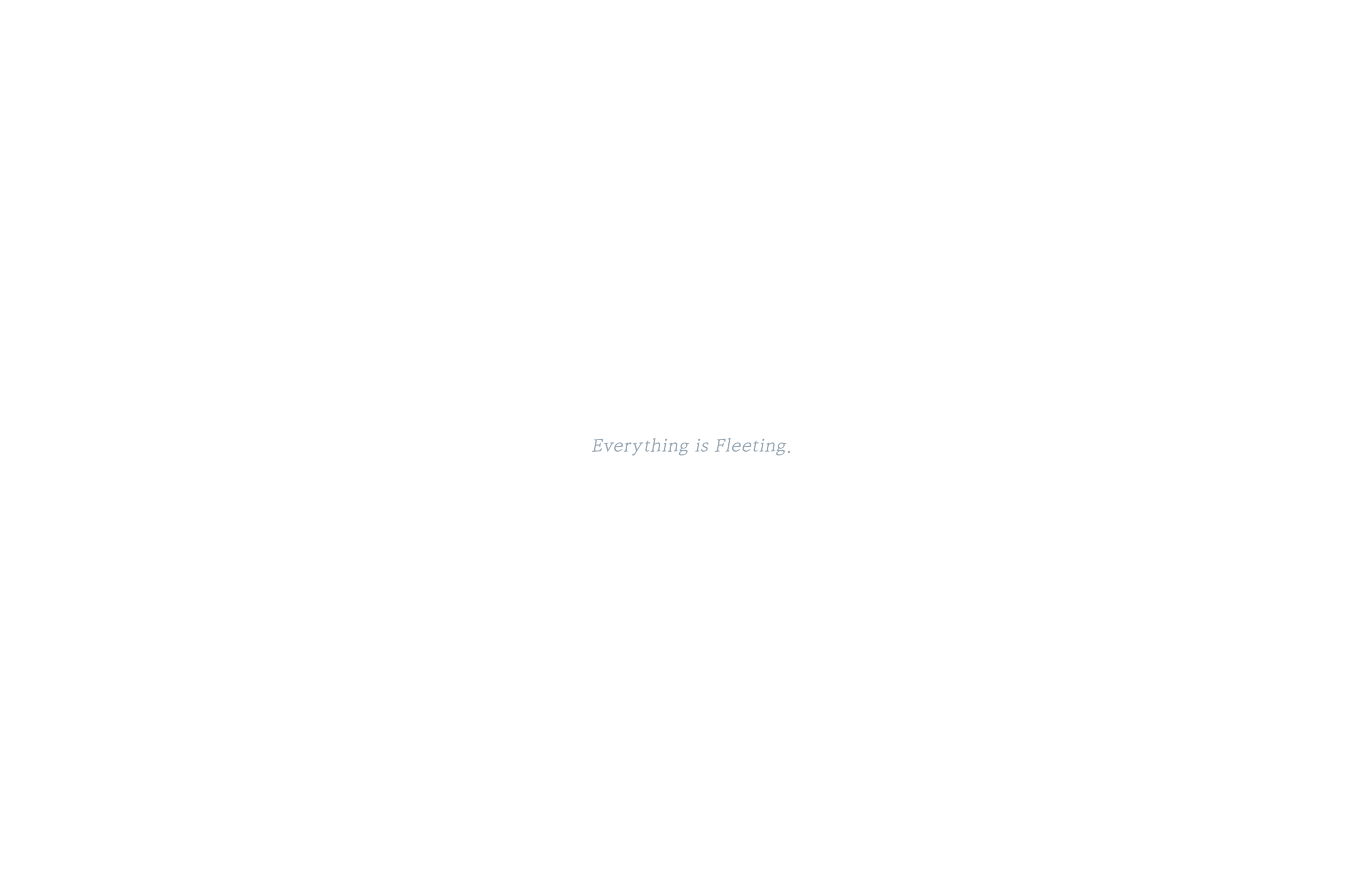 Fleeting_22_final copy.png