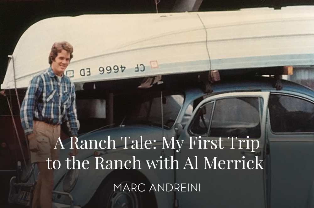 Marc Andreini loaded up on Bill Barnfield's VW Bug, ready to hit the Ranch. Photo by Bill Barnfield