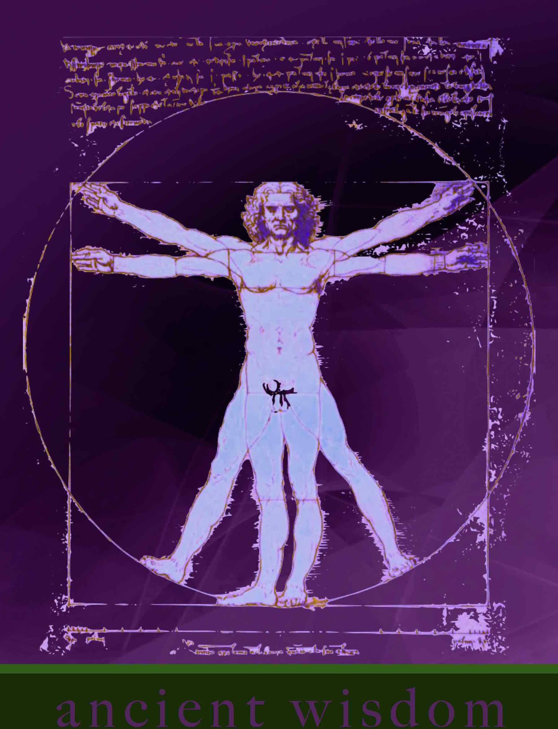 The Vitruvian Man