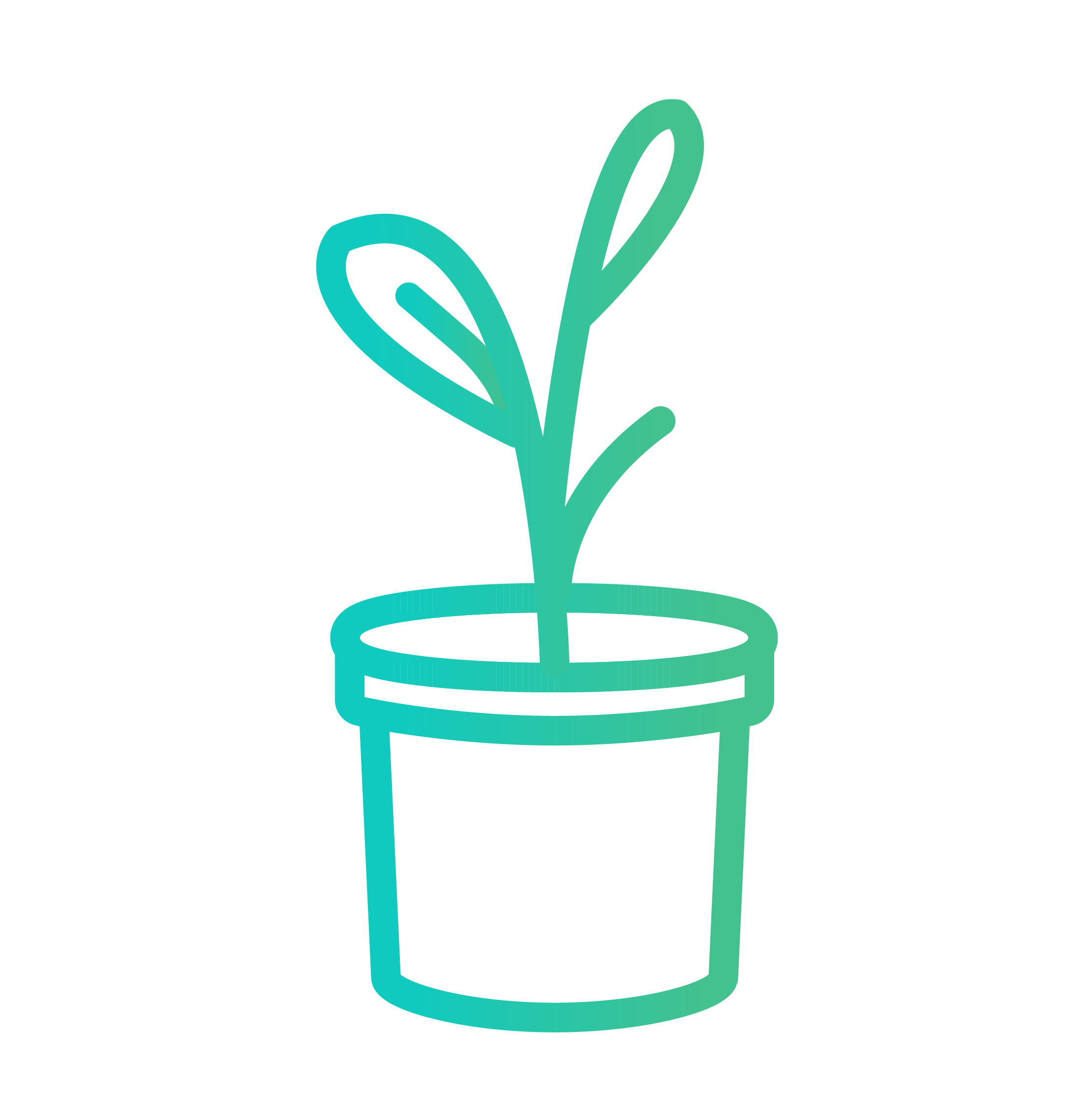 Asset 14@3x.png