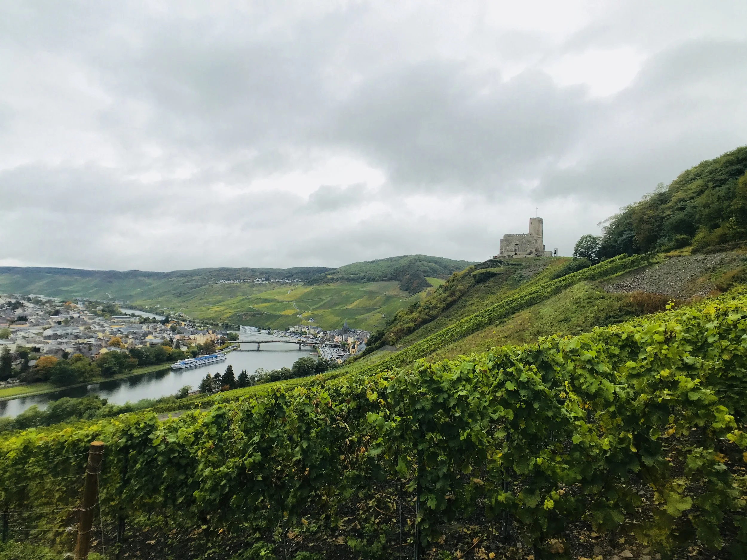 Die Burg Landshut von Süden aus gesehen.