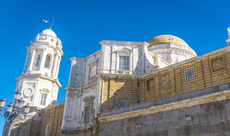 Cathedral of Cádiz