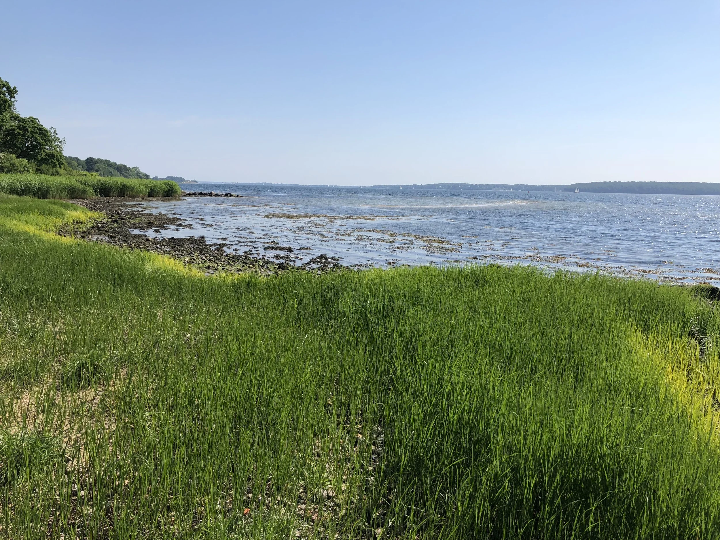 Spaziergang an der Flensburger Förde