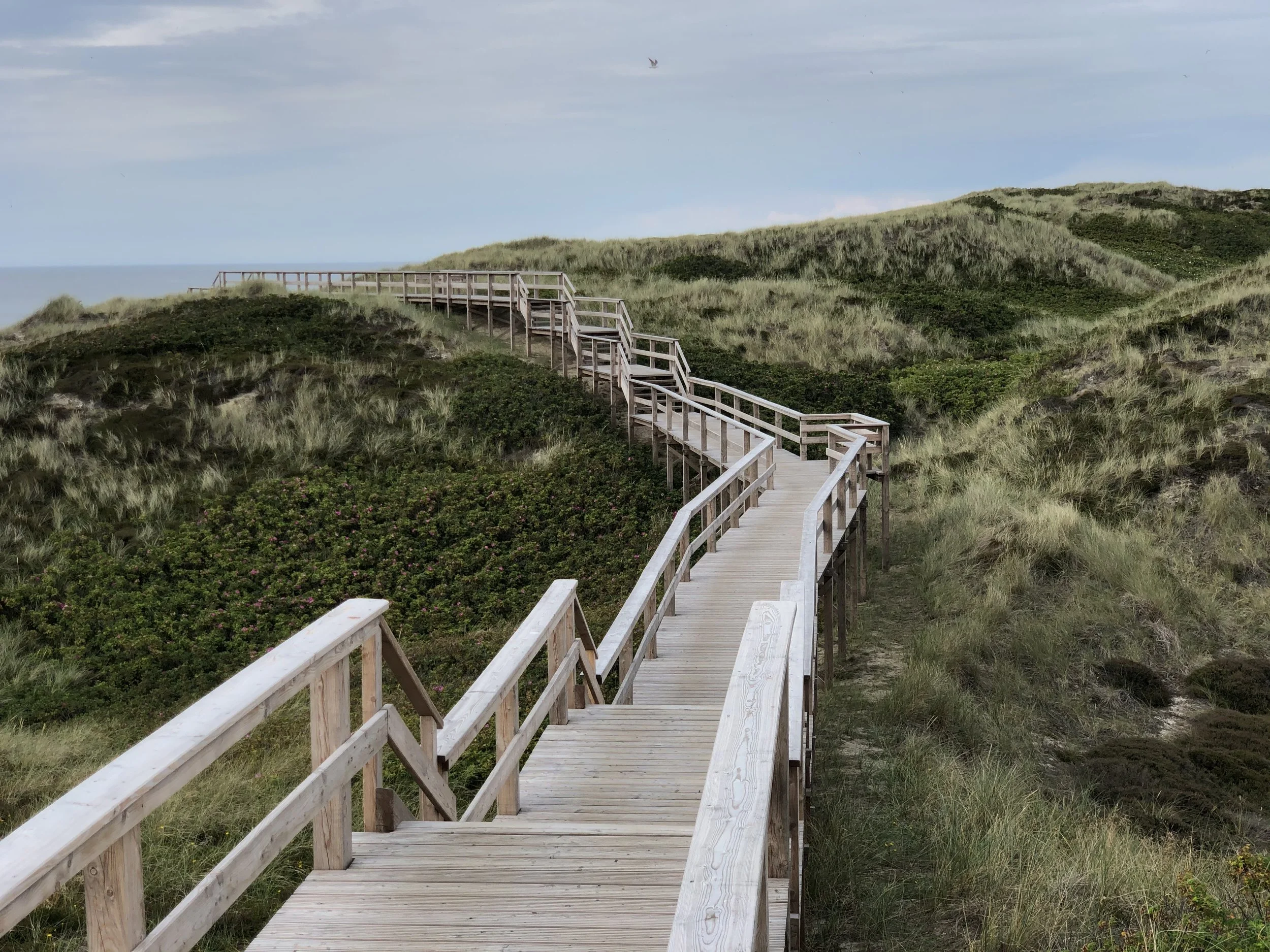 Wenningstedt und Kollund, Tag 12 und 13