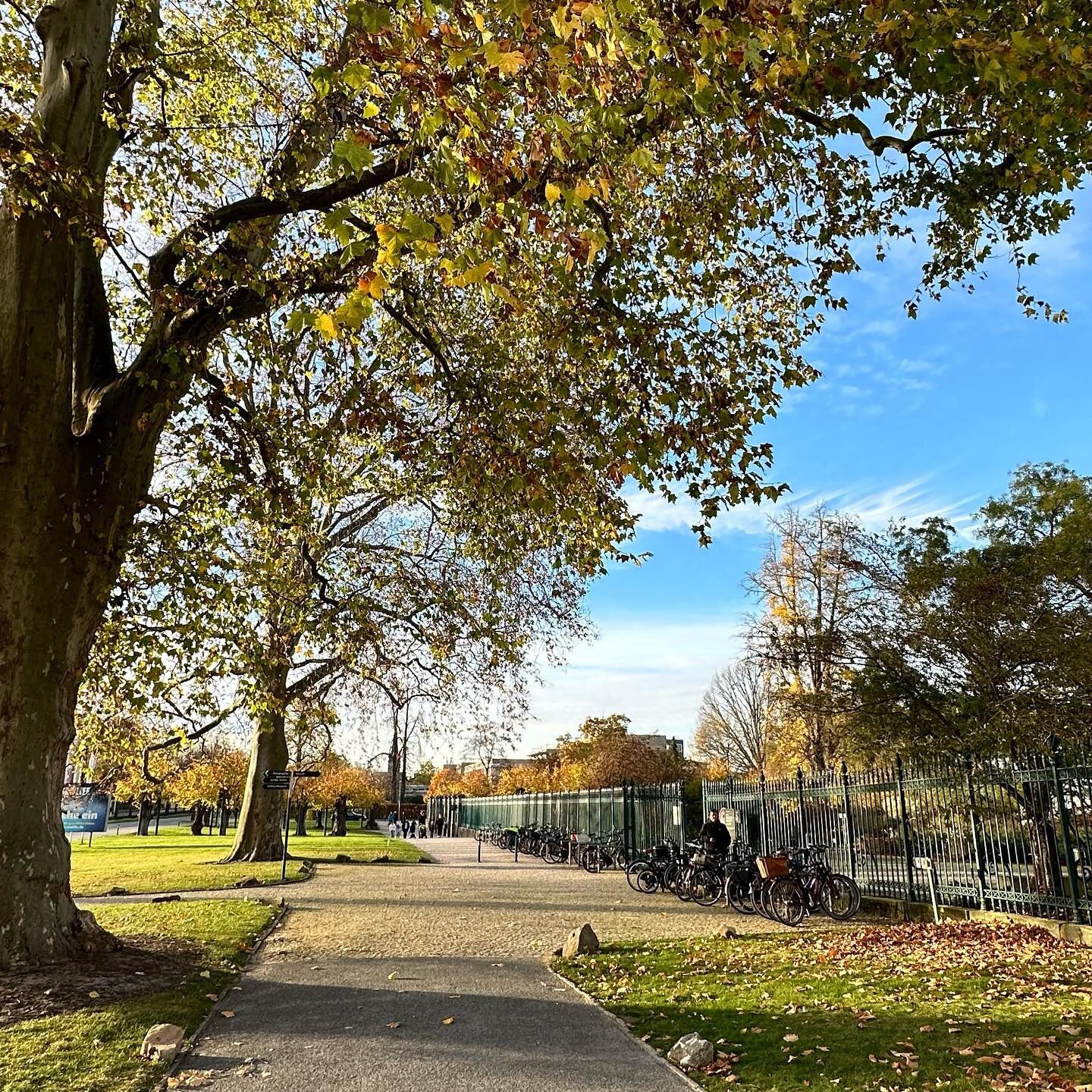 Herbst in Hannover #Herrenhausen #herrenh&auml;userg&auml;rten