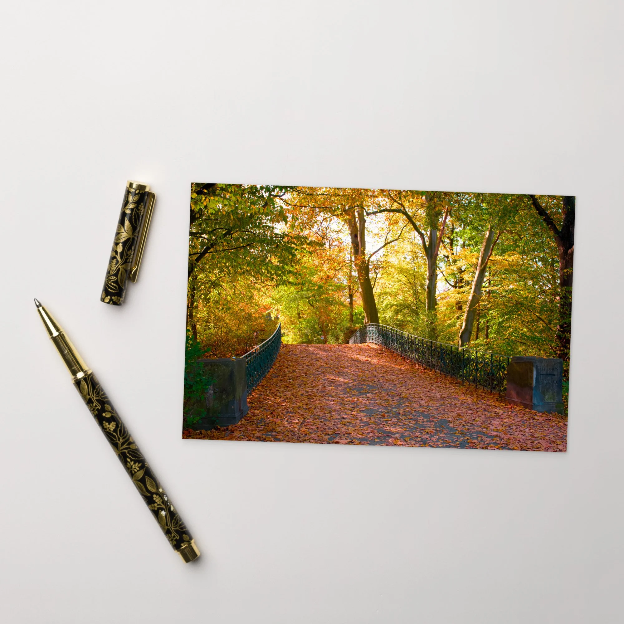 standard-postcard-4x6-front-68ab0940a67e2.jpg