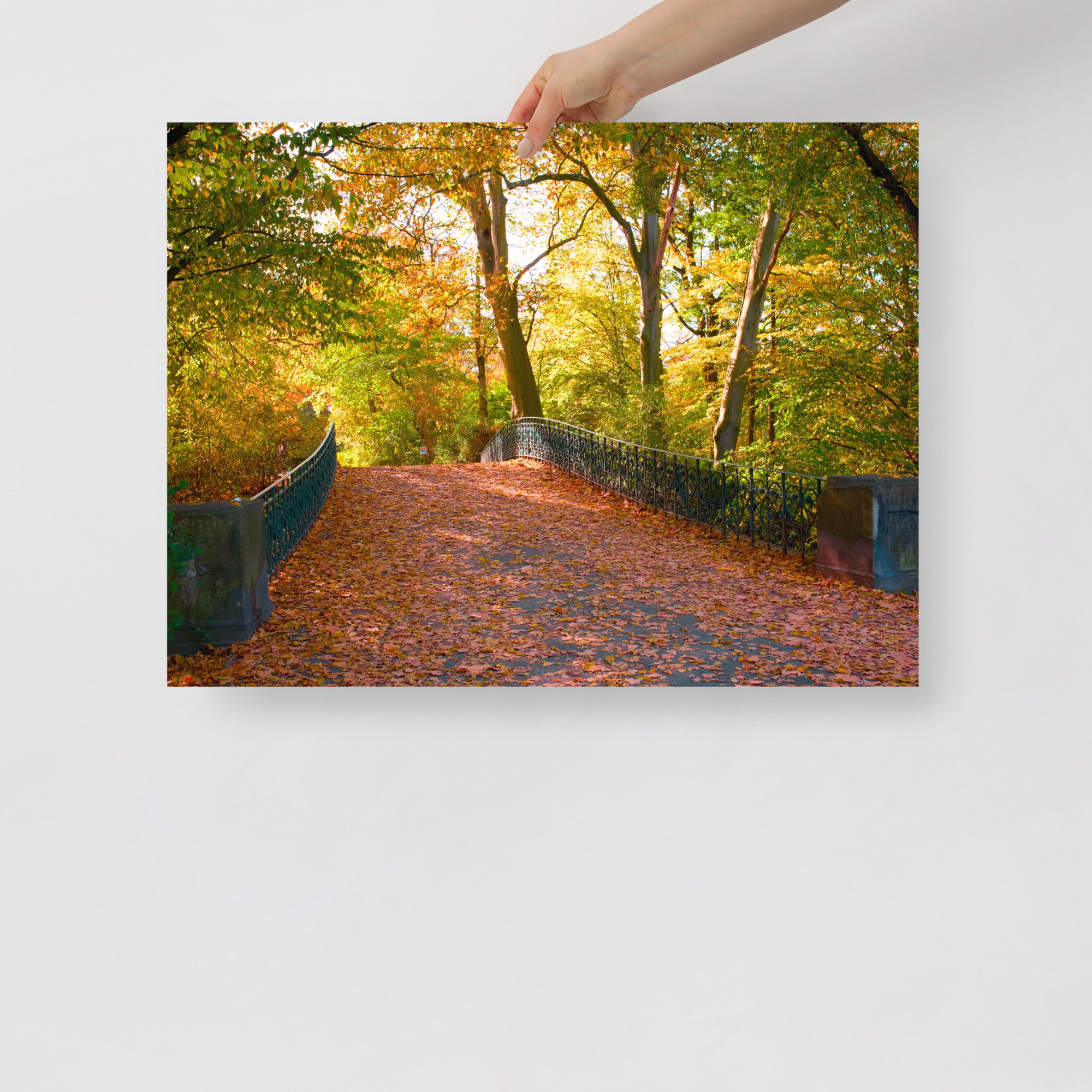 enhanced-matte-paper-poster-(in)-18x24-front-68ab0a1261824.jpg