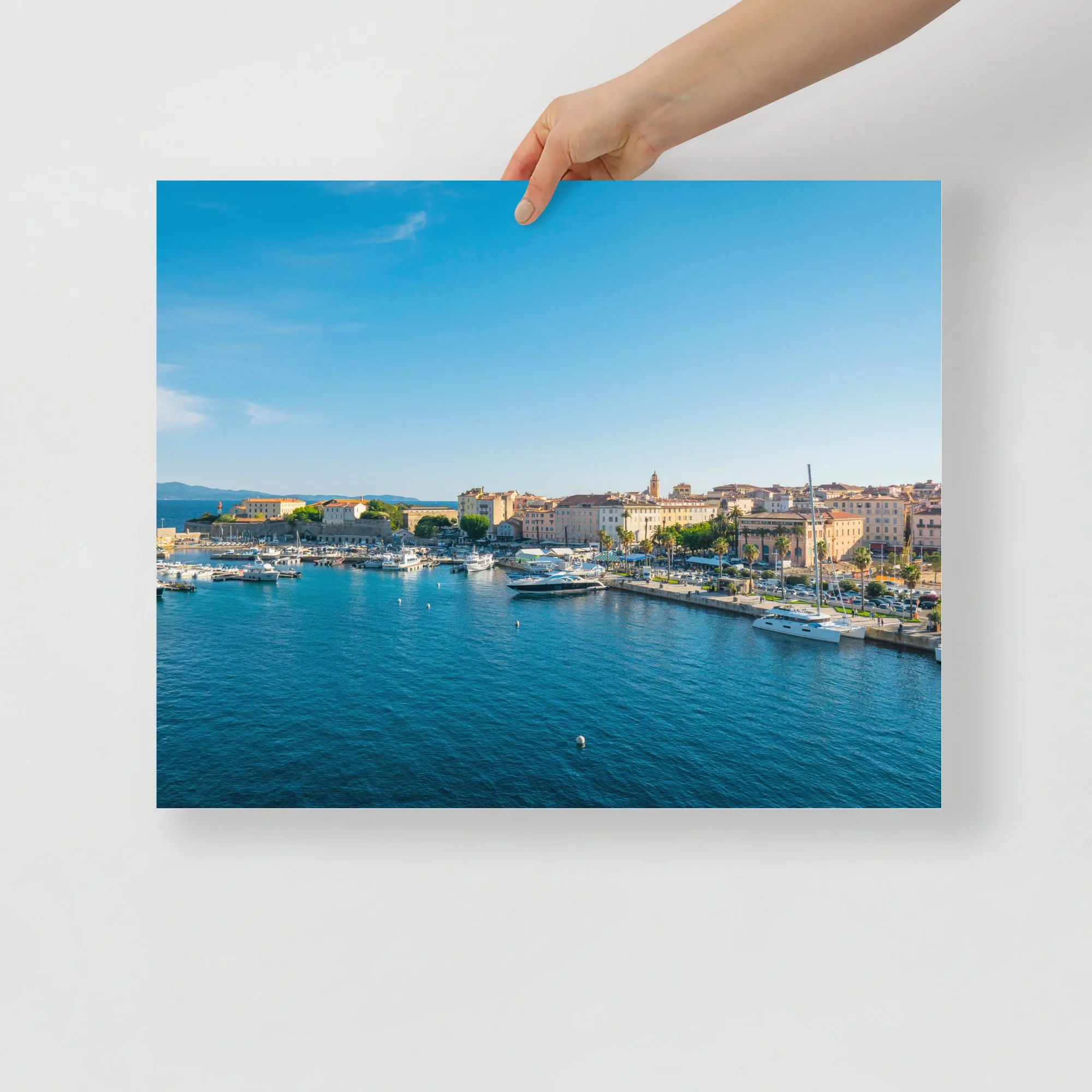 enhanced-matte-paper-poster-(in)-16x20-front-68ab0ab2531ff.jpg