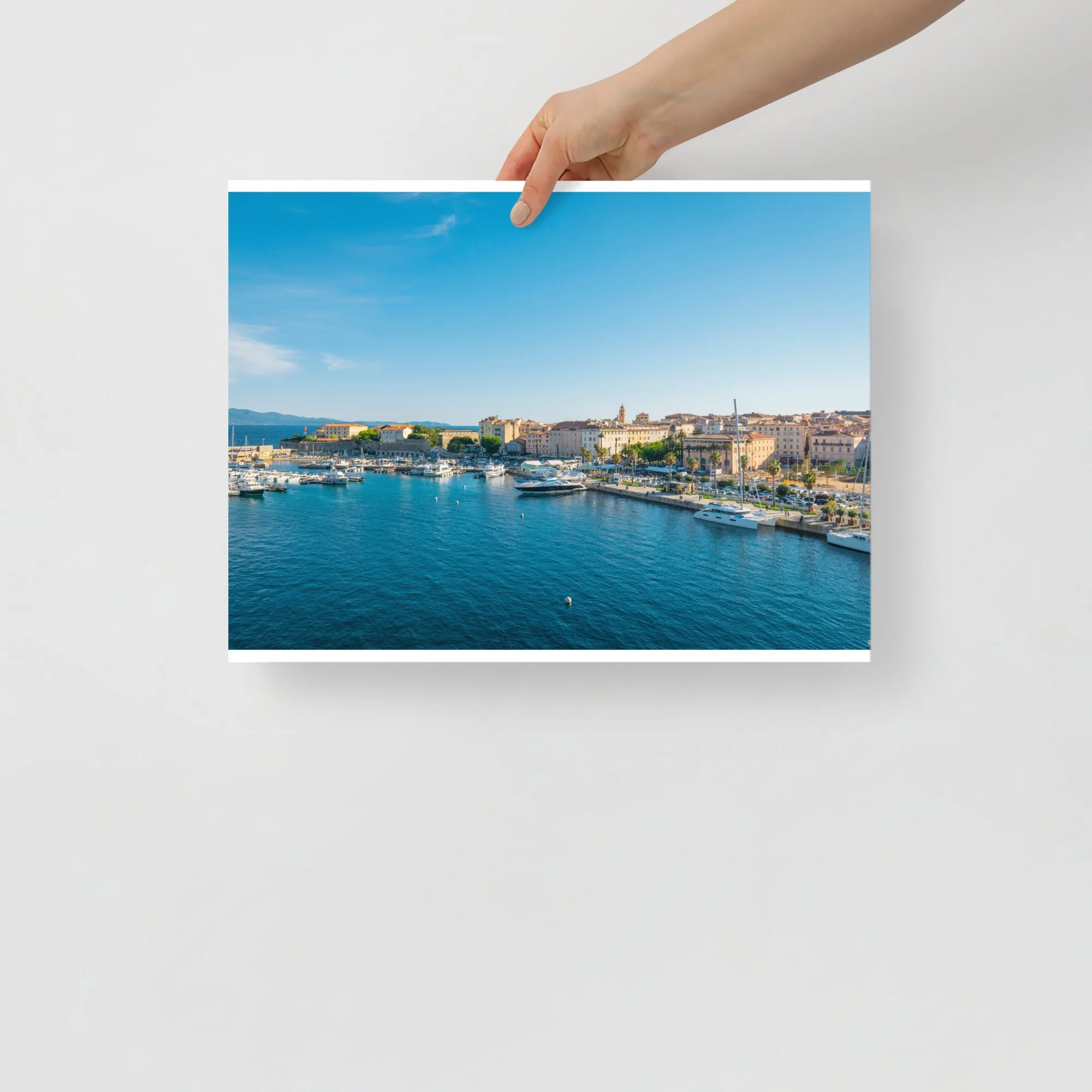 enhanced-matte-paper-poster-(in)-12x16-front-68ab0ab253918.jpg