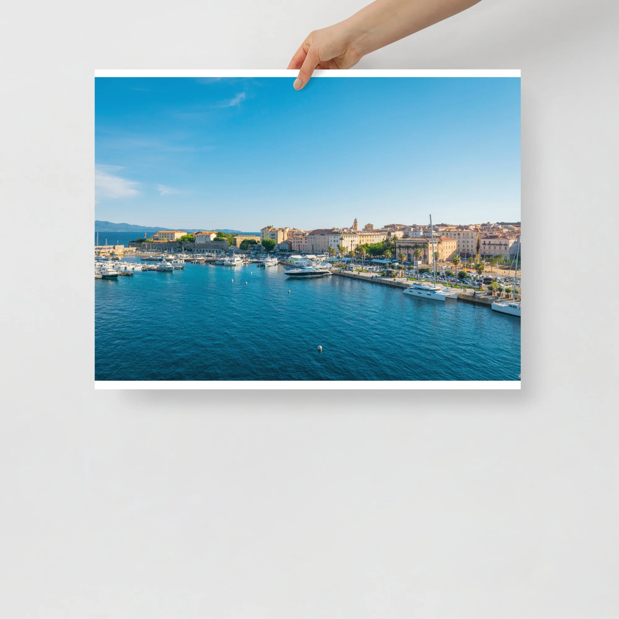 enhanced-matte-paper-poster-(in)-18x24-front-68ab0ab253ace.jpg
